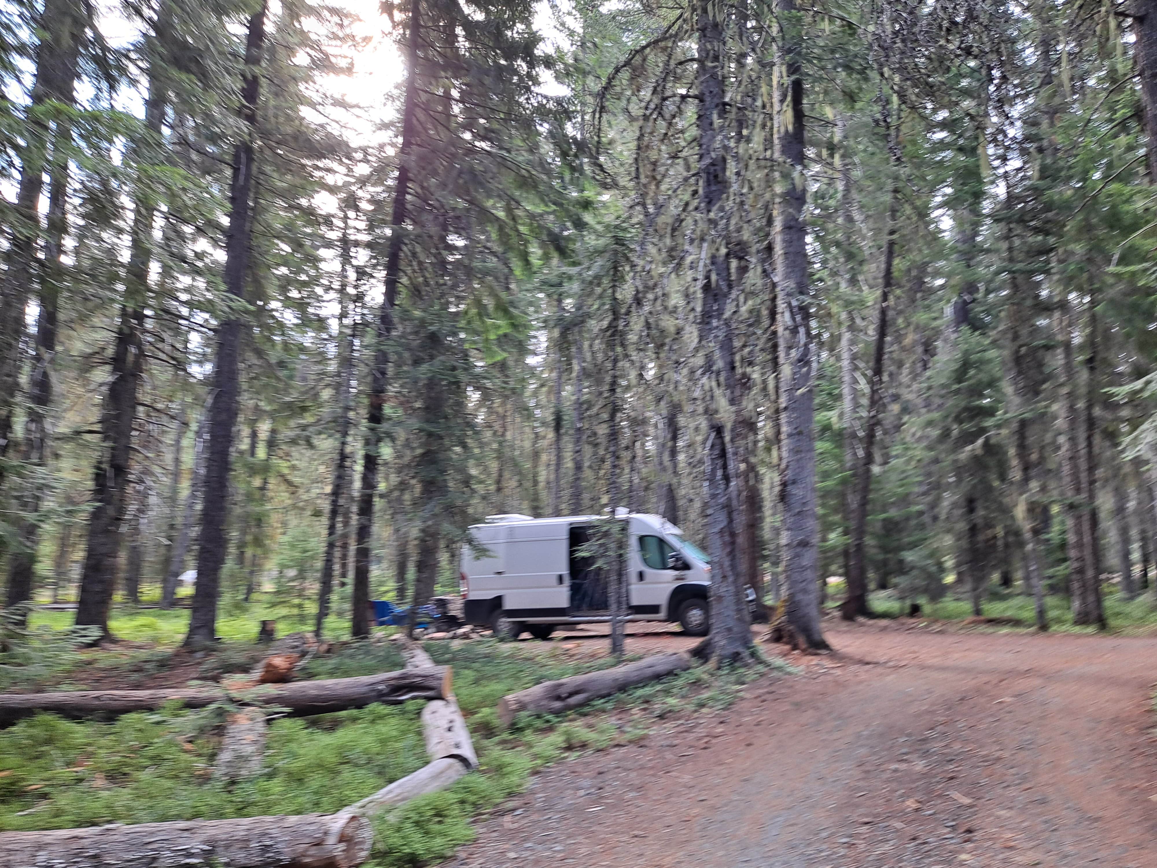 Camper-submitted photo at Thielson Forest Camp near Diamond Lake, OR