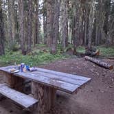 Review photo of Thielson Forest Camp by Jay , July 31, 2021