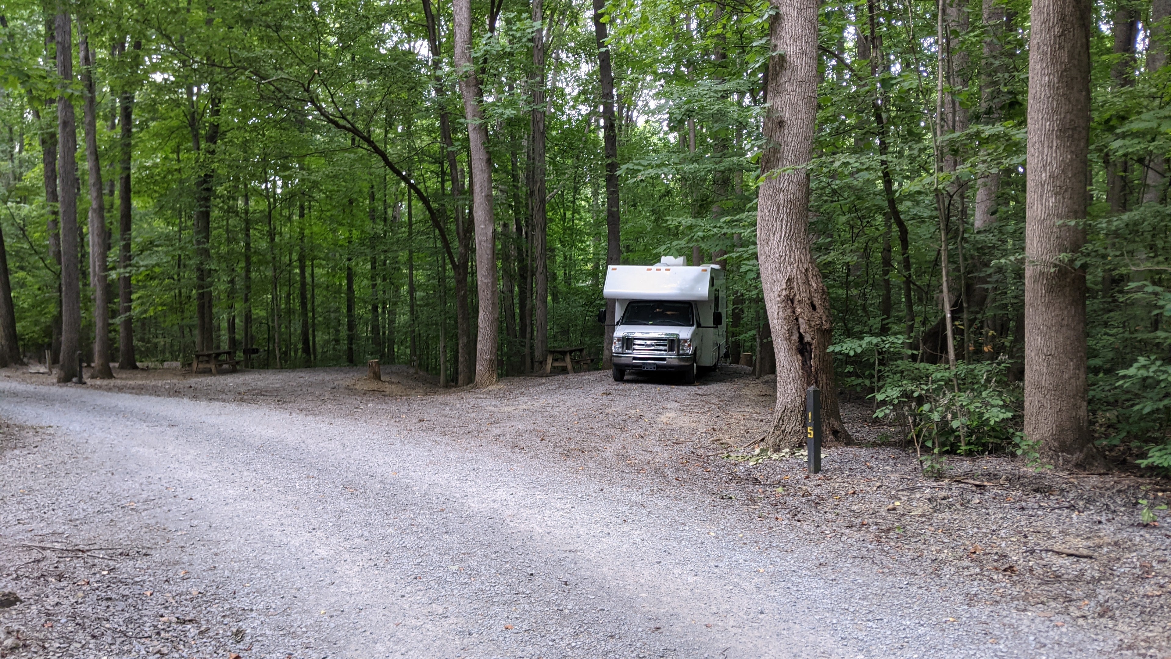 Camper submitted image from Sugar Hollow Campground - 1