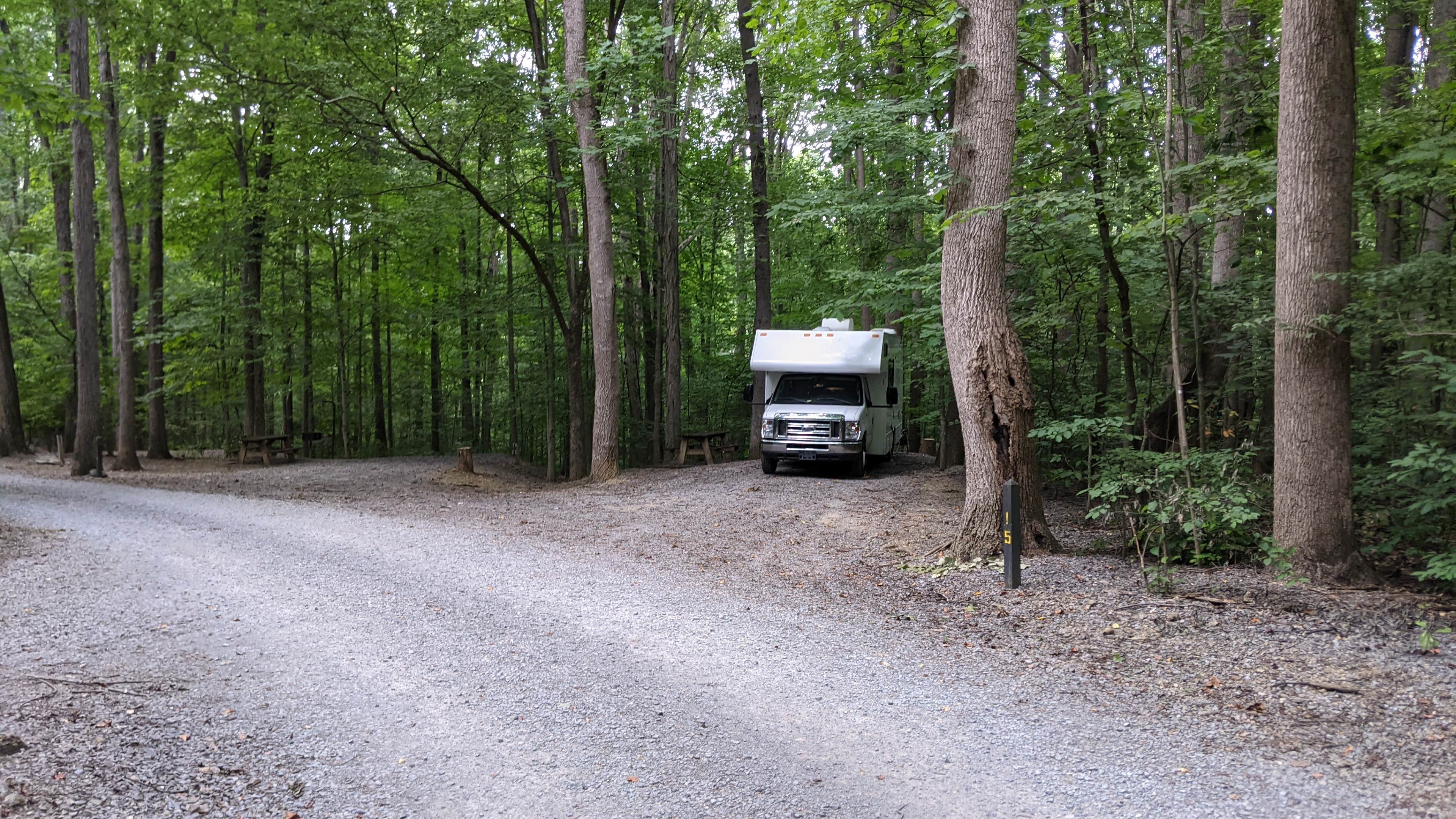 Camper submitted image from Sugar Hollow Campground - 1