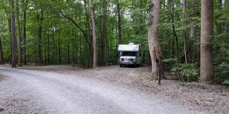 Camper submitted image from Sugar Hollow Campground