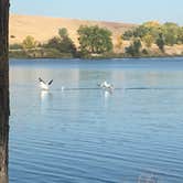 Review photo of Lake Ogallala - Lake McConaughy State Rec Area by Candy L., June 17, 2018