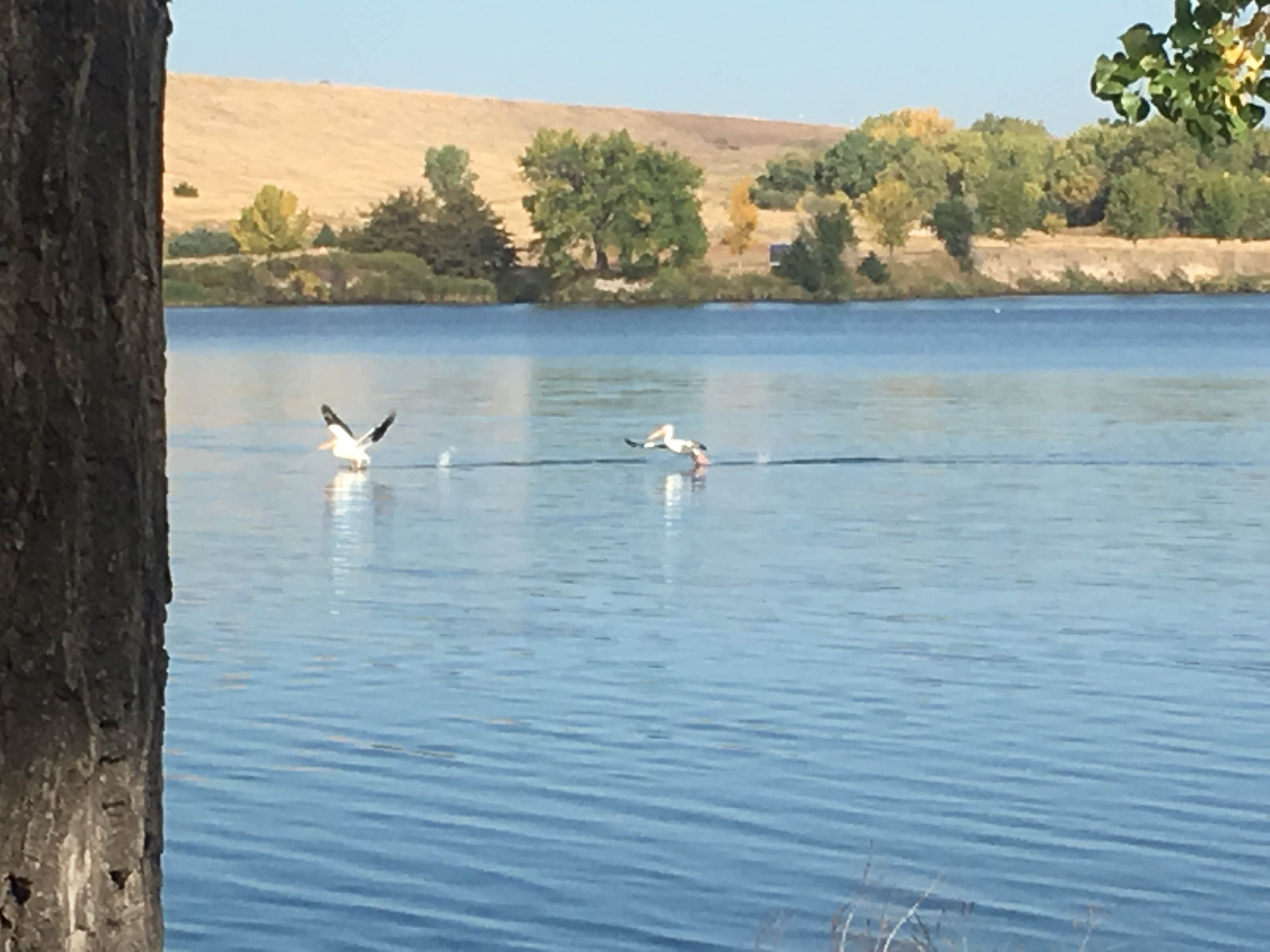 Camper submitted image from Lake Ogallala Beach Campsites - Lake McConaughy State Rec Area - 3