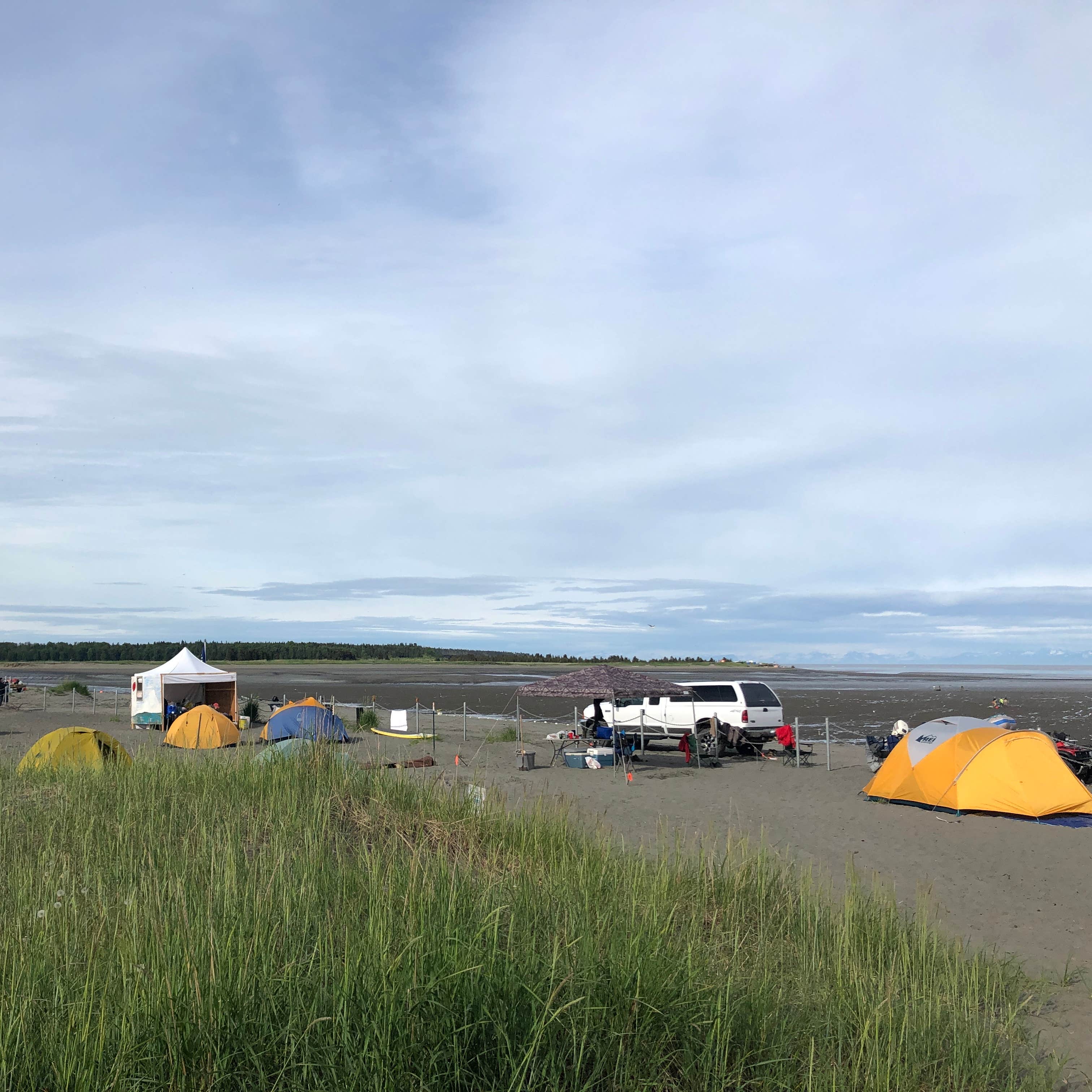 Kasilof River Special Use Area Camping The Dyrt