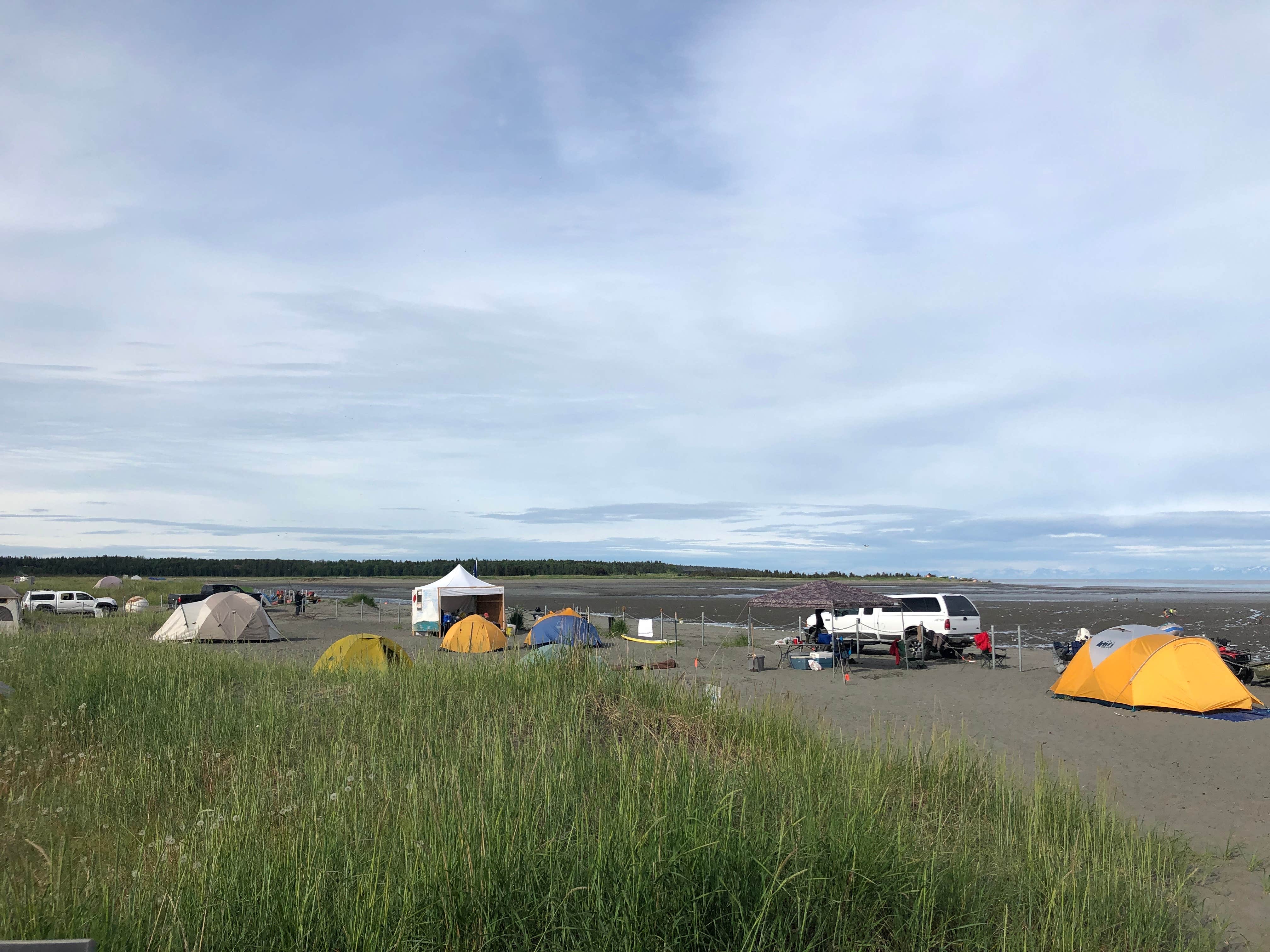 Kasilof River Special Use Area Camping The Dyrt