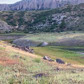Review photo of Ponderosa - Curecanti National Recreation Area by Jacob B., July 31, 2021