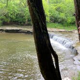 Review photo of Hueston Woods State Park Campground by Ben Jason N., August 1, 2021