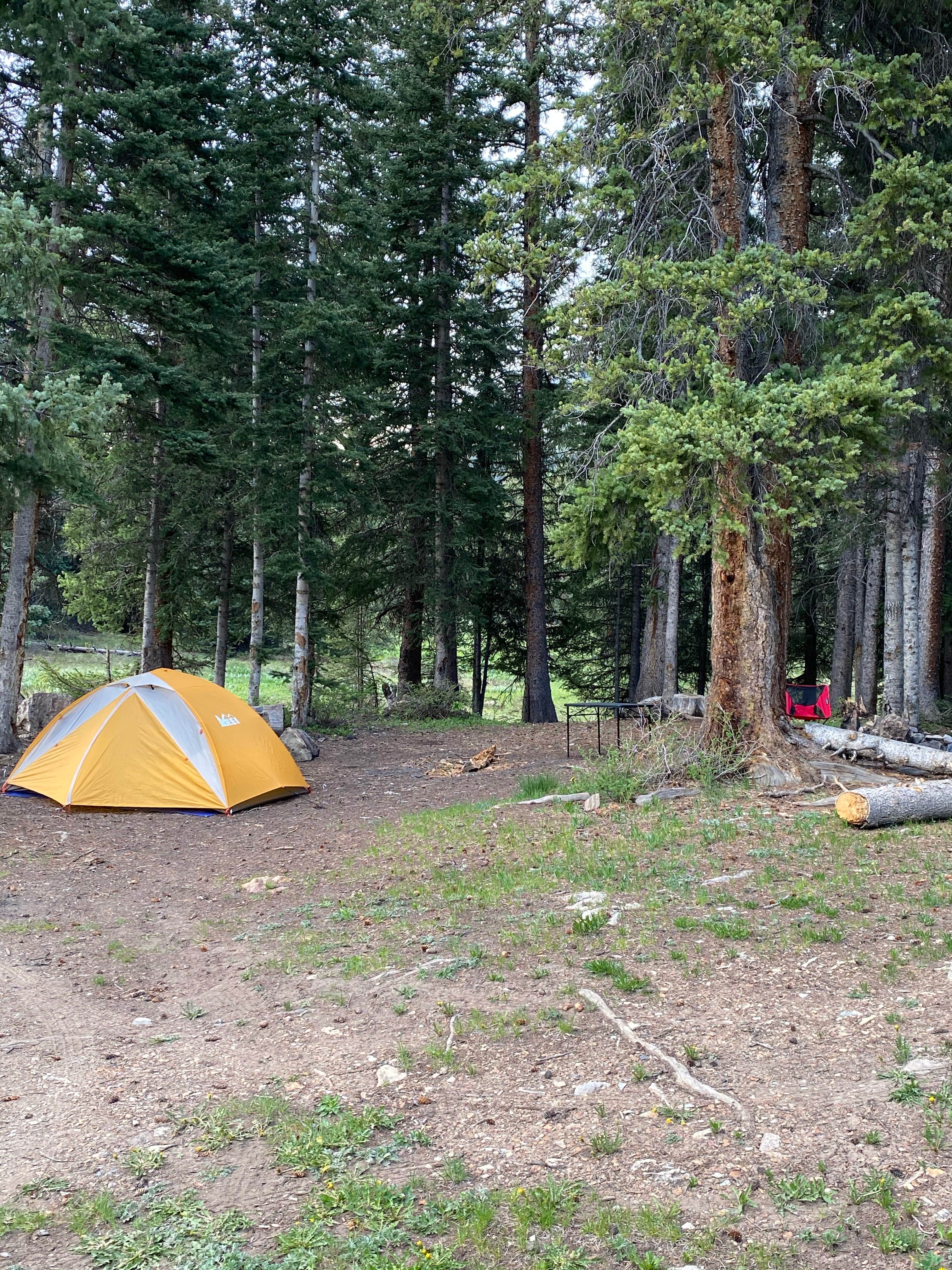 Annie C.'s photo at Sunshine Campground near Ophir, CO