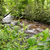 Review photo of Littlejohn Campground by Myron C., August 1, 2021