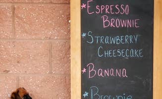 Tracey G.'s photo of camping with pets at Sun Retreats Seashore Campsites & RV Resort near Milford, DE