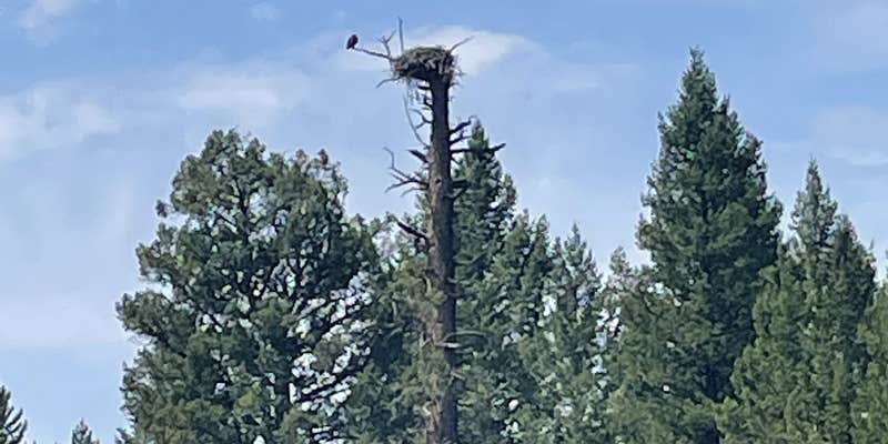 Camper submitted image from Buffalo Run Campground