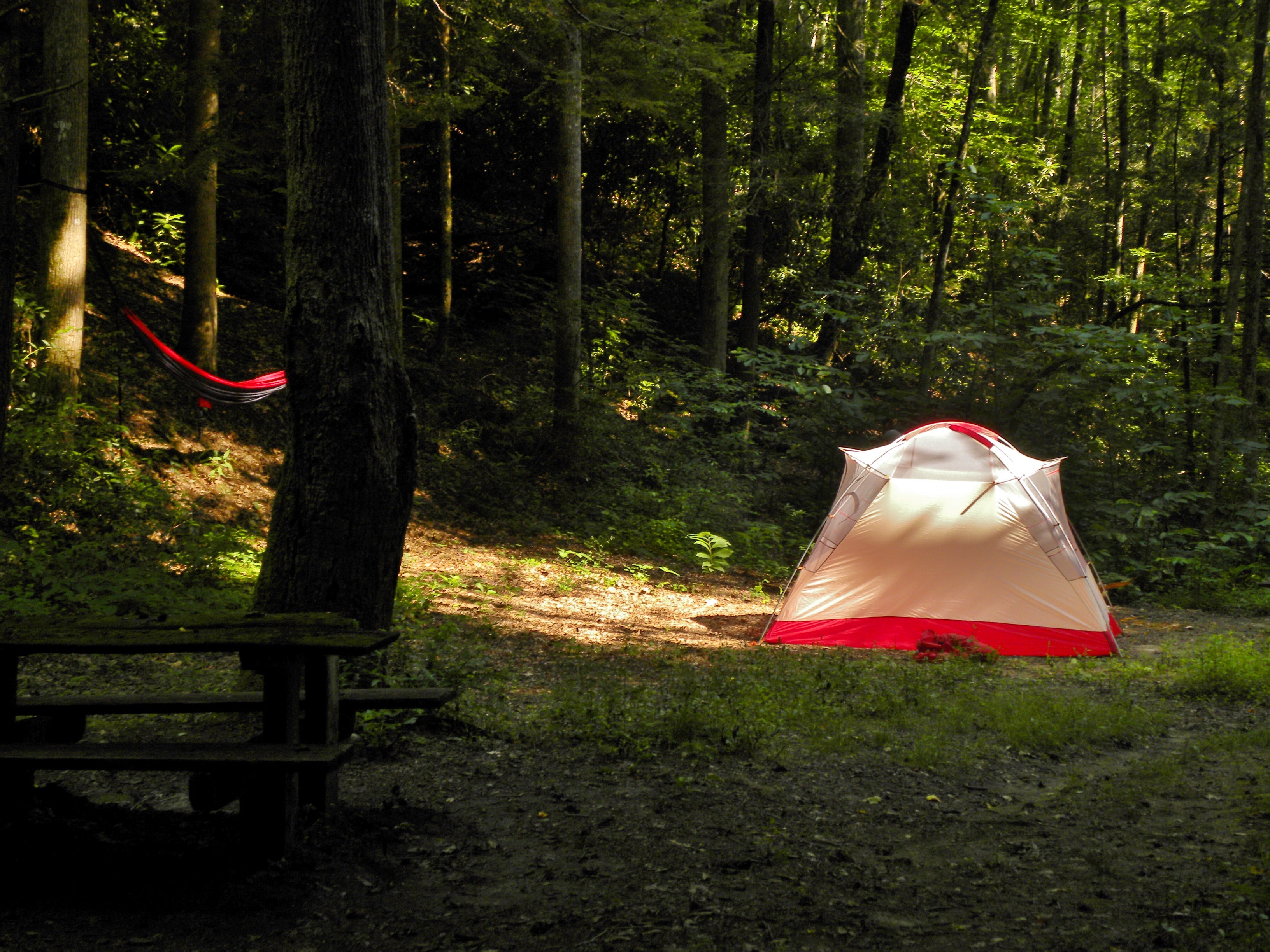 Camper submitted image from Site 65 — Great Smoky Mountains National Park - 1