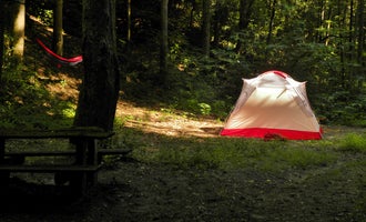 Camping near Double Island — Great Smoky Mountains National Park: Site 65 — Great Smoky Mountains National Park, Bryson City, North Carolina