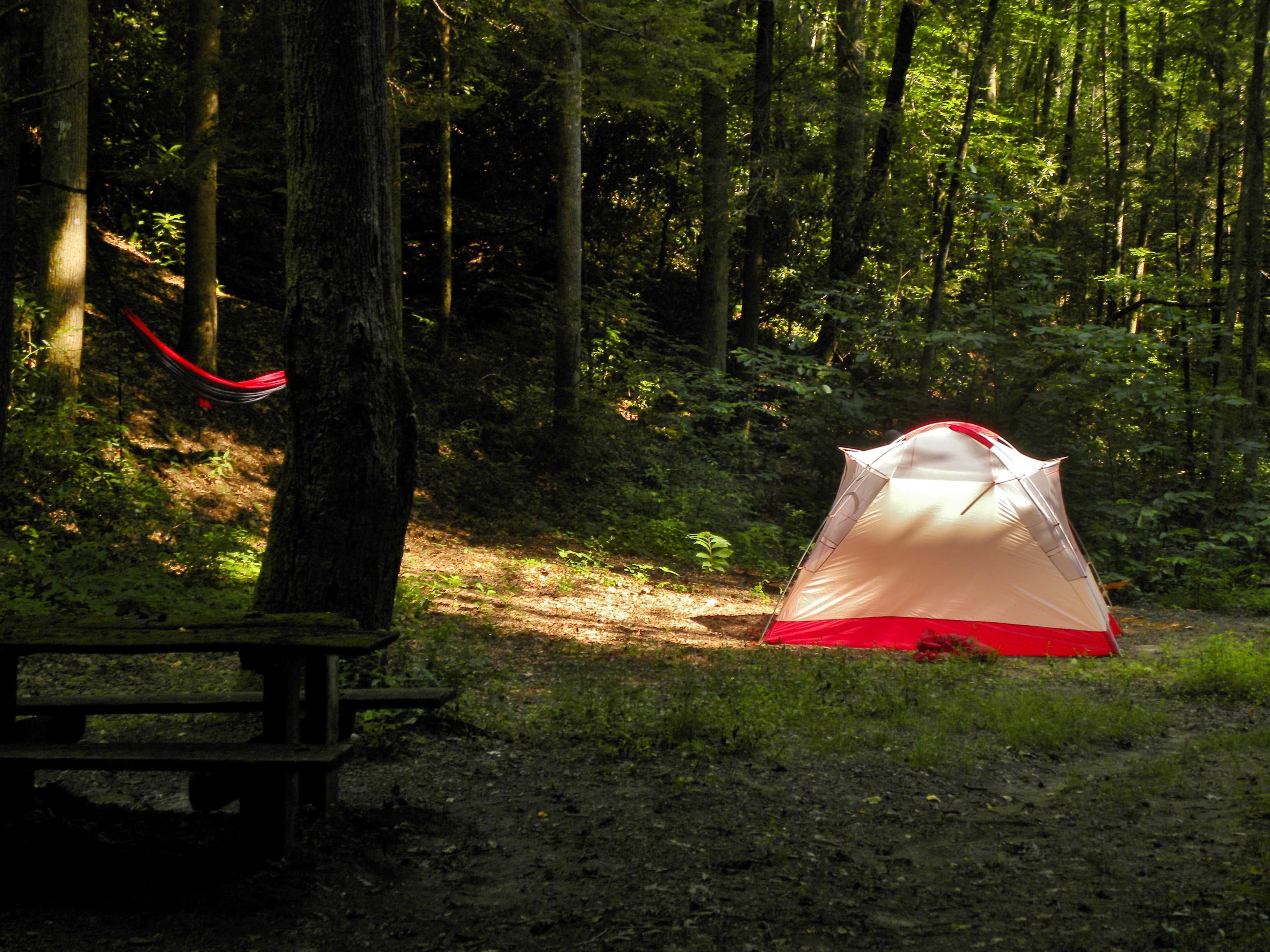 Camper submitted image from Site 65 -- Great Smoky Mountains National Park - 1