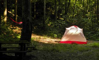 Myron C.'s photo at Site 65 — Great Smoky Mountains National Park near Great Smoky Mountains National Park