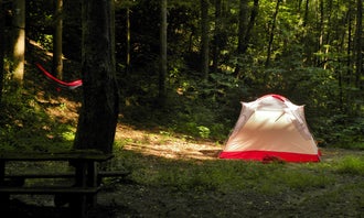 Camping near Double Island — Great Smoky Mountains National Park: Site 65 — Great Smoky Mountains National Park, Bryson City, North Carolina