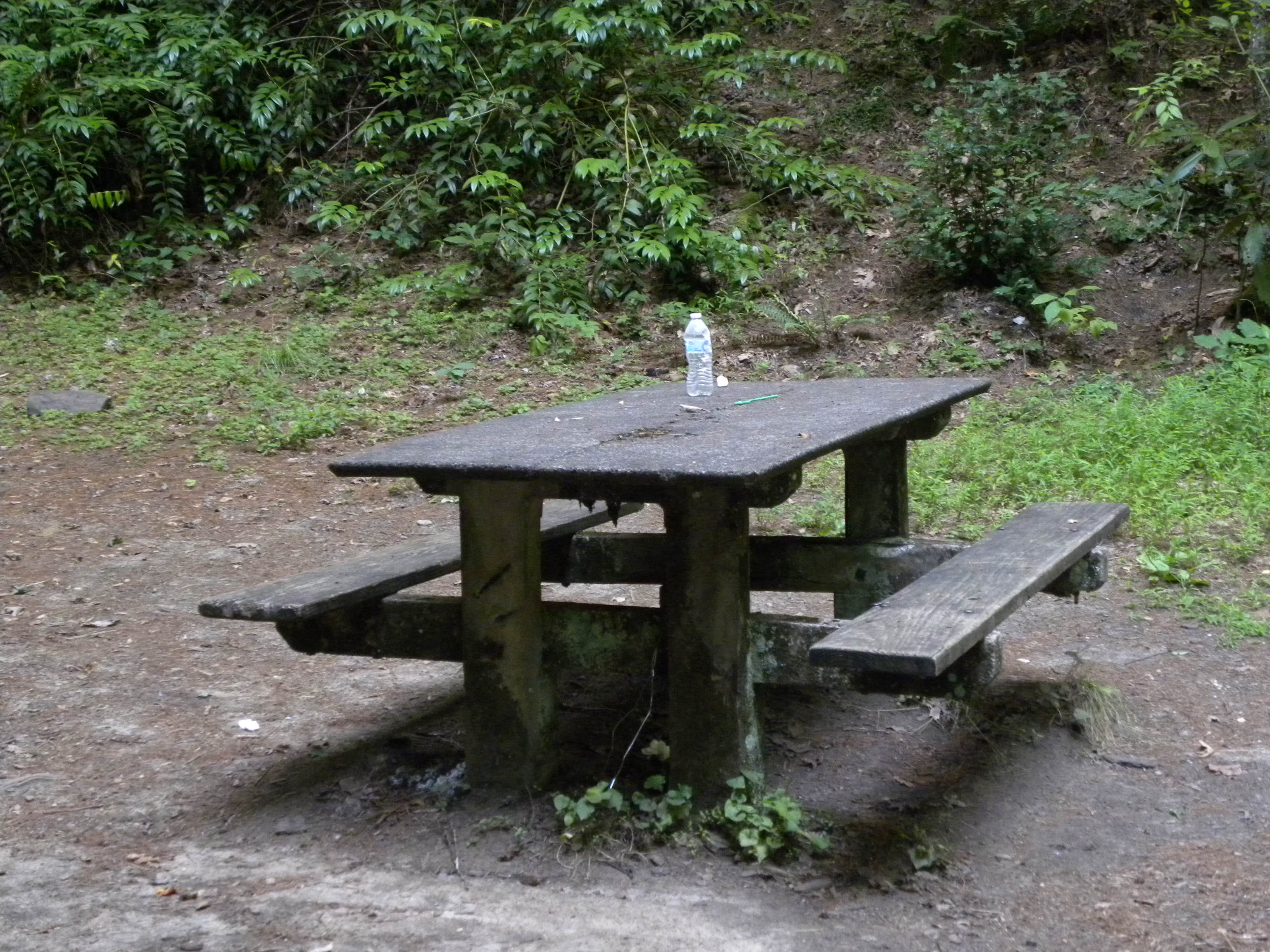 Camper-submitted photo at Site 65 — Great Smoky Mountains National Park near Bryson City, NC