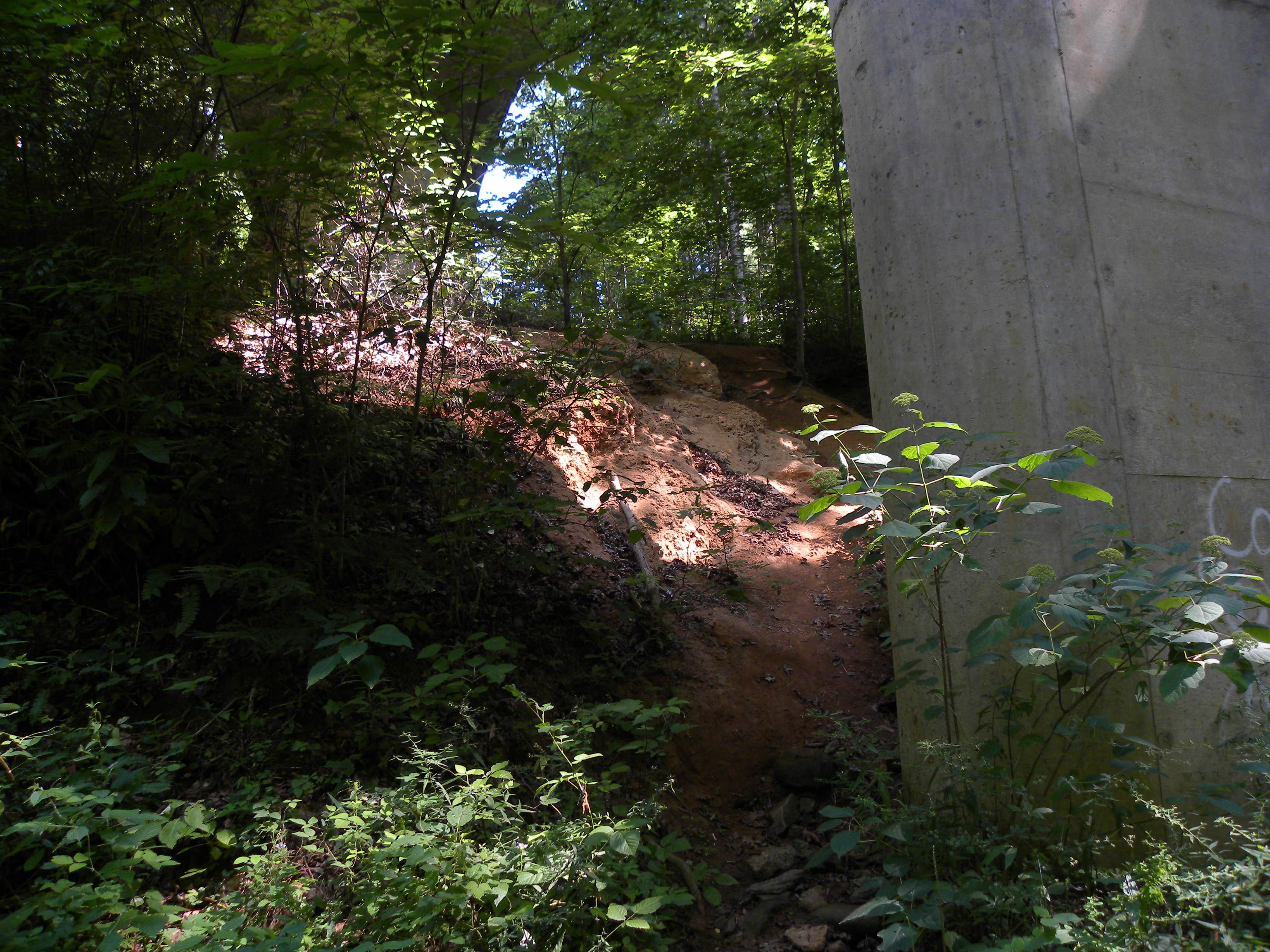 Camper-submitted photo at Site 65 — Great Smoky Mountains National Park near Bryson City, NC