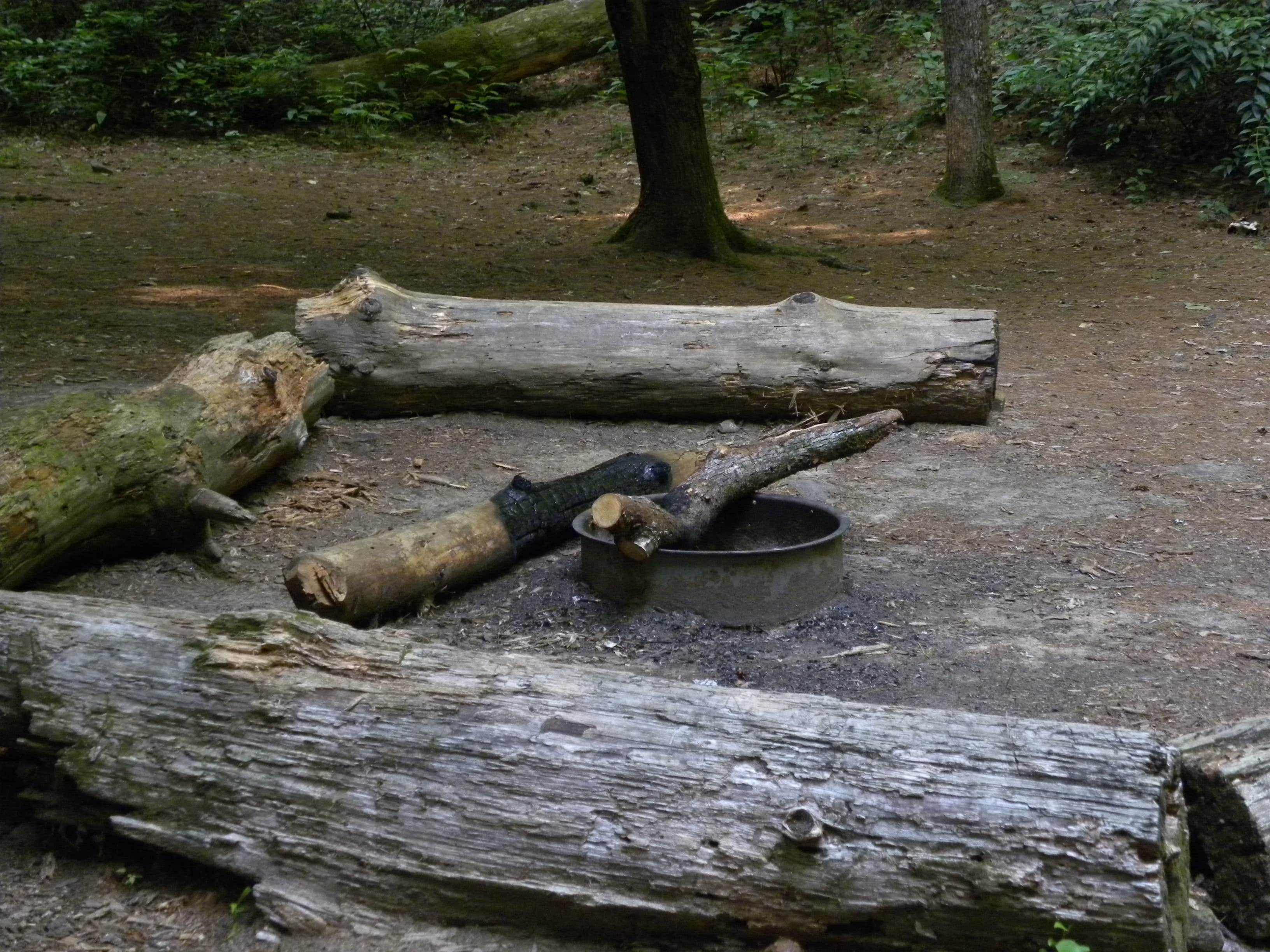 Camper-submitted photo at Site 65 — Great Smoky Mountains National Park near Bryson City, NC