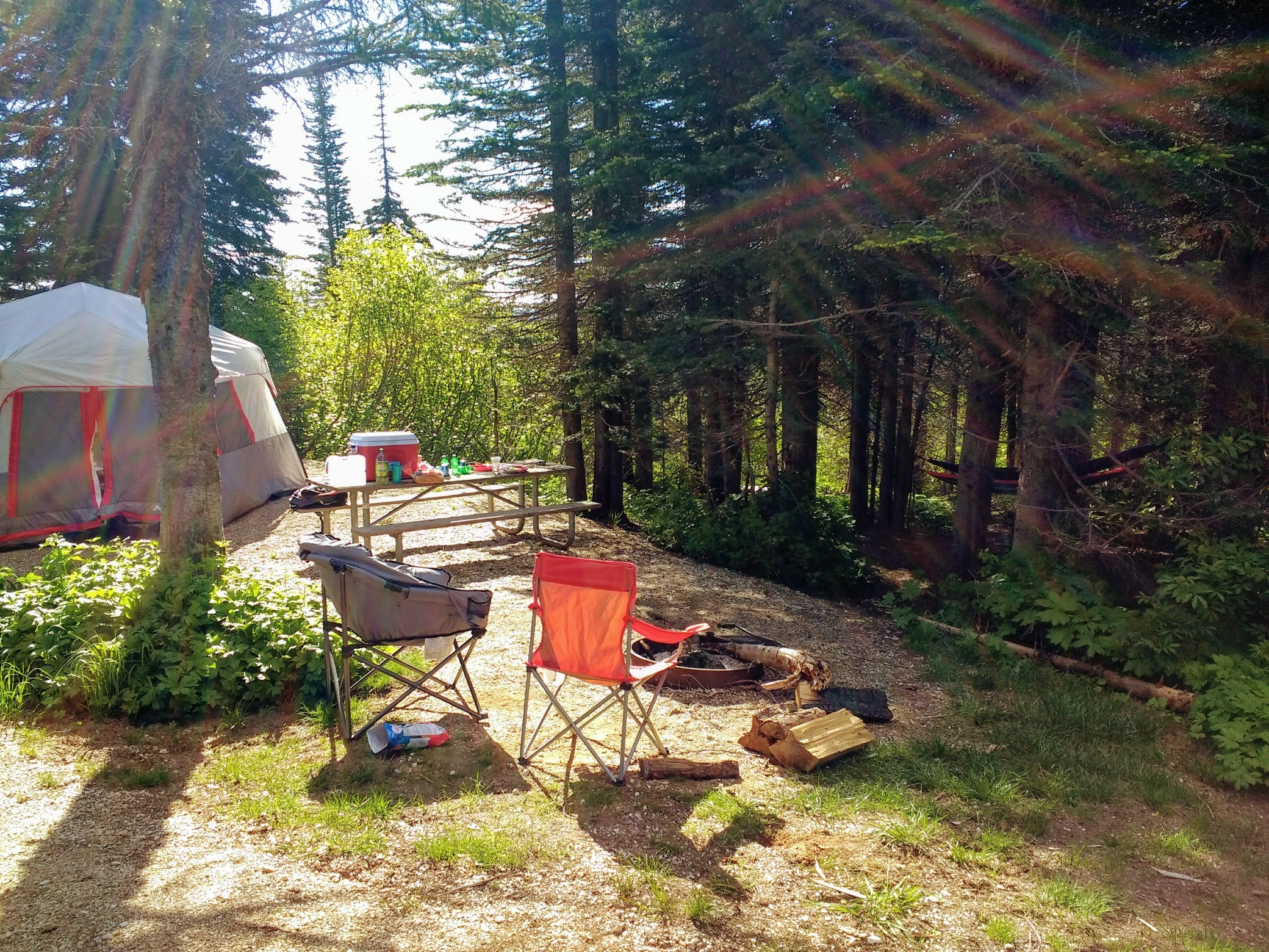 Camper submitted image from Bald Knob Campground — Mount Spokane State Park - 5
