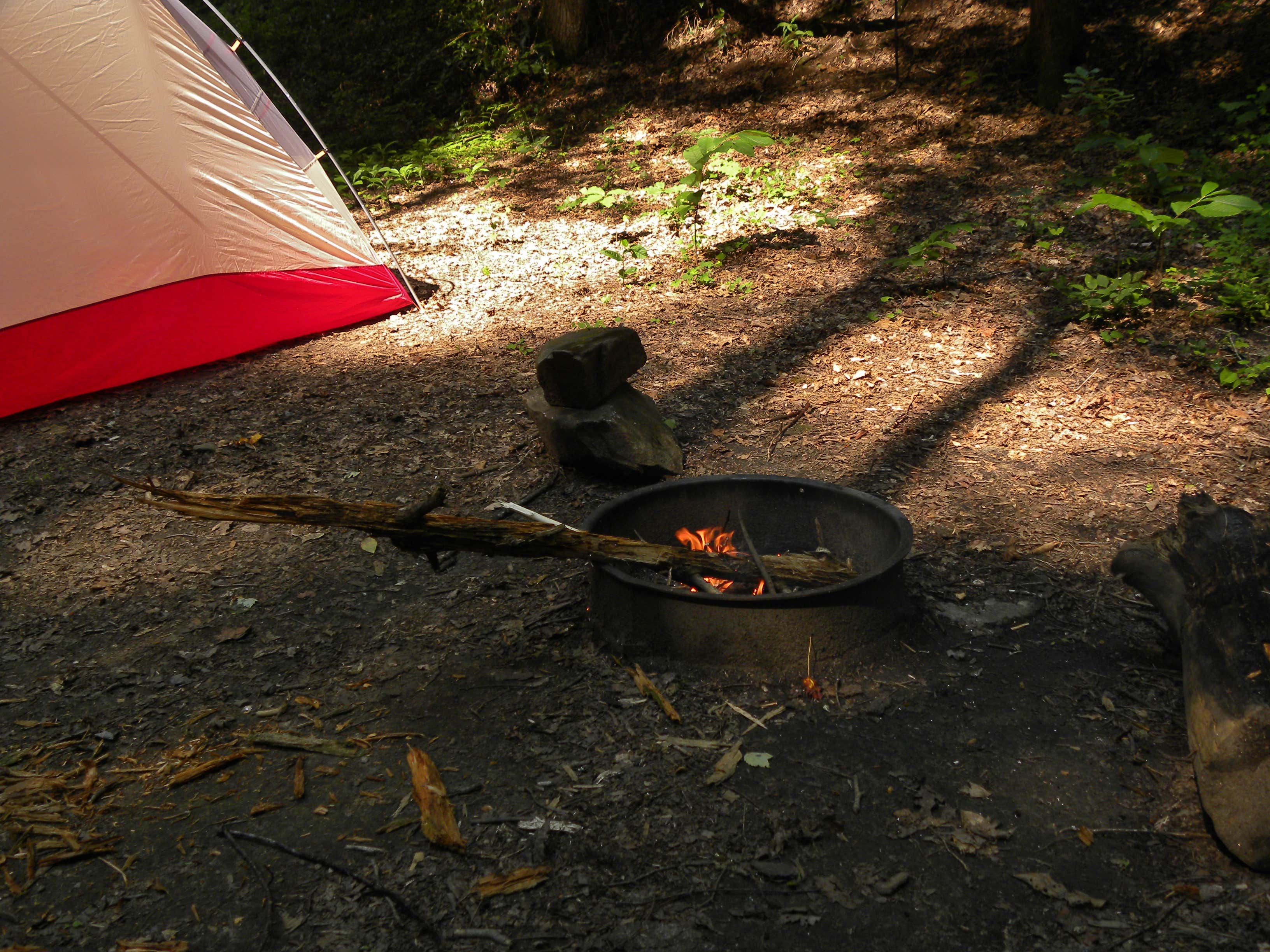 Camper submitted image from Site 65 — Great Smoky Mountains National Park - 5