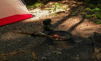 Myron C.'s photo at Site 65 — Great Smoky Mountains National Park near Almond, NC