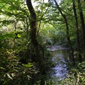 Review photo of Site 65 — Great Smoky Mountains National Park by Myron C., August 1, 2021