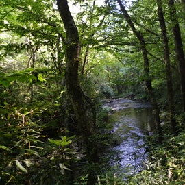 Noland Creek