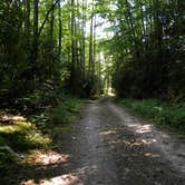 Review photo of Site 65 — Great Smoky Mountains National Park by Myron C., August 1, 2021