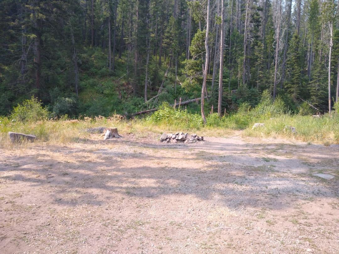 Camper submitted image from Little Blackfoot River 2nd Disperse Campsite  - 3