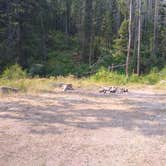 Review photo of Little Blackfoot River 2nd Disperse Campsite by Dexter I., August 1, 2021