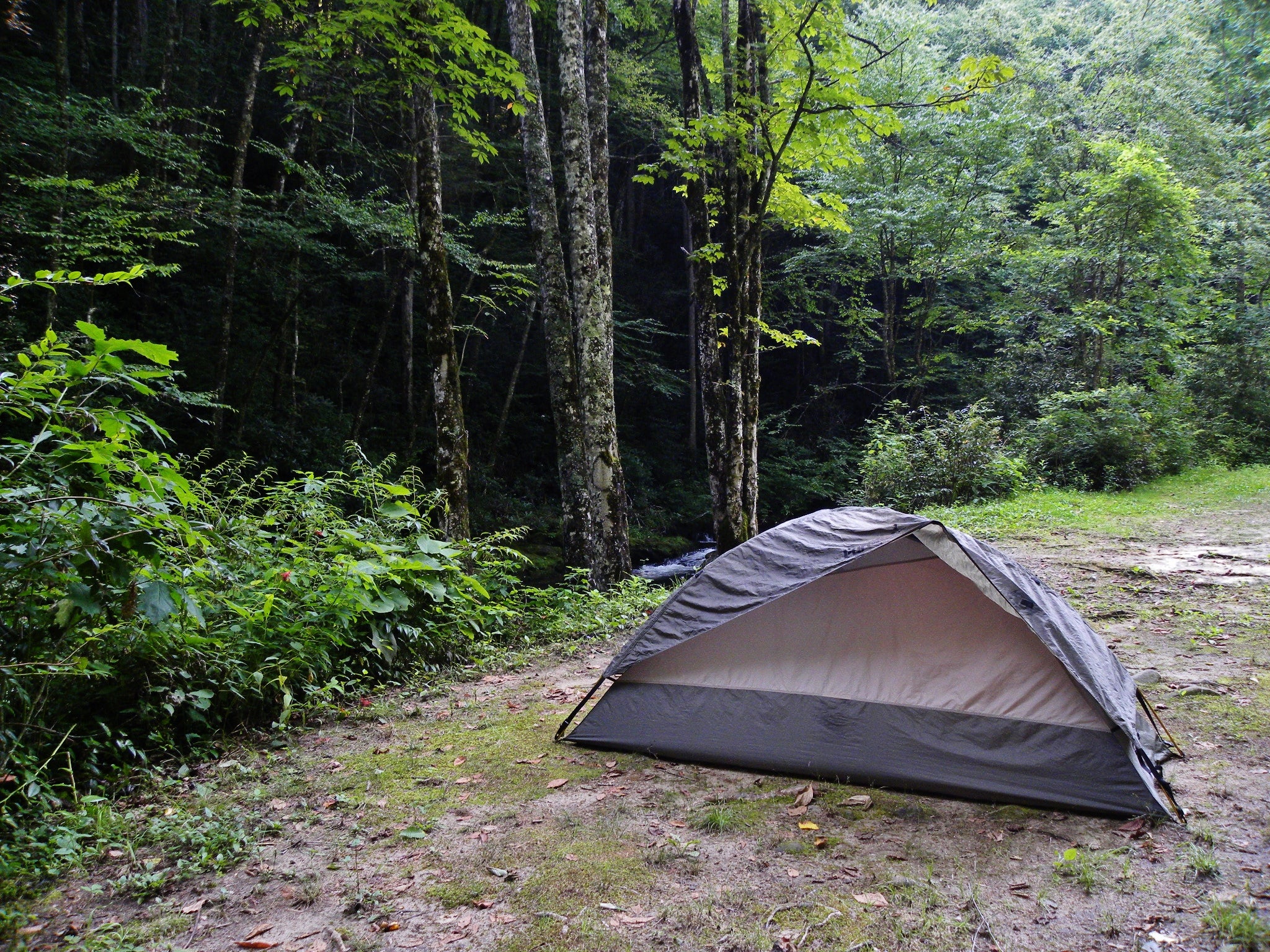 Camper submitted image from Courthouse 1 -- Pisgah National Forest - 1