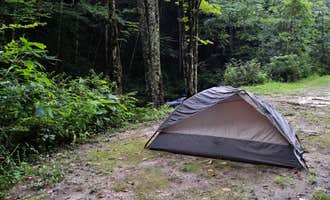 Camping near Cherryfield Creek Luxury  Campsite: Courthouse 1 -- Pisgah National Forest, Balsam Grove, North Carolina