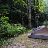 Review photo of Courthouse 1 -- Pisgah National Forest by Myron C., August 1, 2021