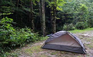 Myron C.'s photo of tent camping at Courthouse 1 -- Pisgah National Forest near Greenville, SC