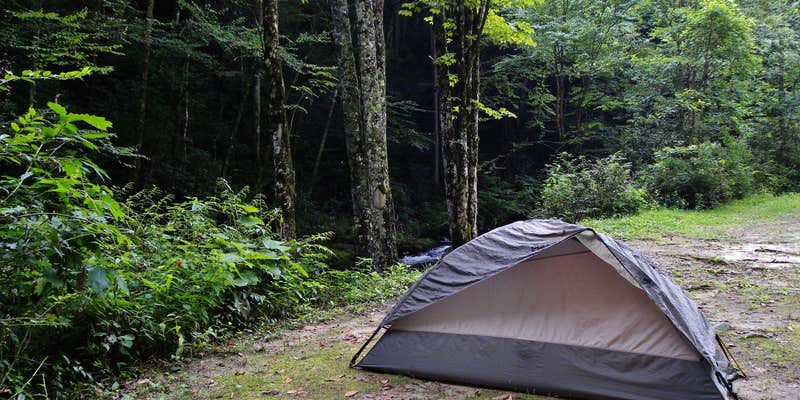 Camper submitted image from Courthouse 1 -- Pisgah National Forest