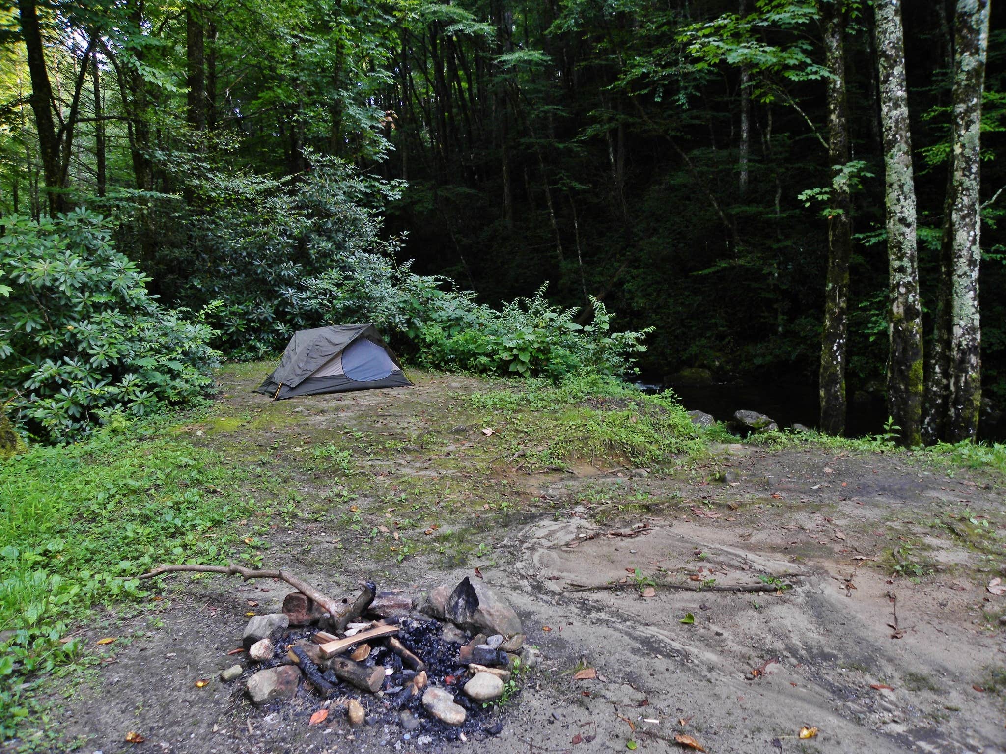 Camper-submitted photo at Courthouse 1 -- Pisgah National Forest near Balsam Grove, NC