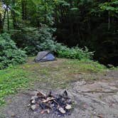 Review photo of Courthouse 1 -- Pisgah National Forest by Myron C., August 1, 2021