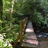 Review photo of Courthouse 1 -- Pisgah National Forest by Myron C., August 1, 2021