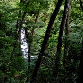 Review photo of Courthouse 1 -- Pisgah National Forest by Myron C., August 1, 2021