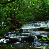 Review photo of Courthouse 1 -- Pisgah National Forest by Myron C., August 1, 2021