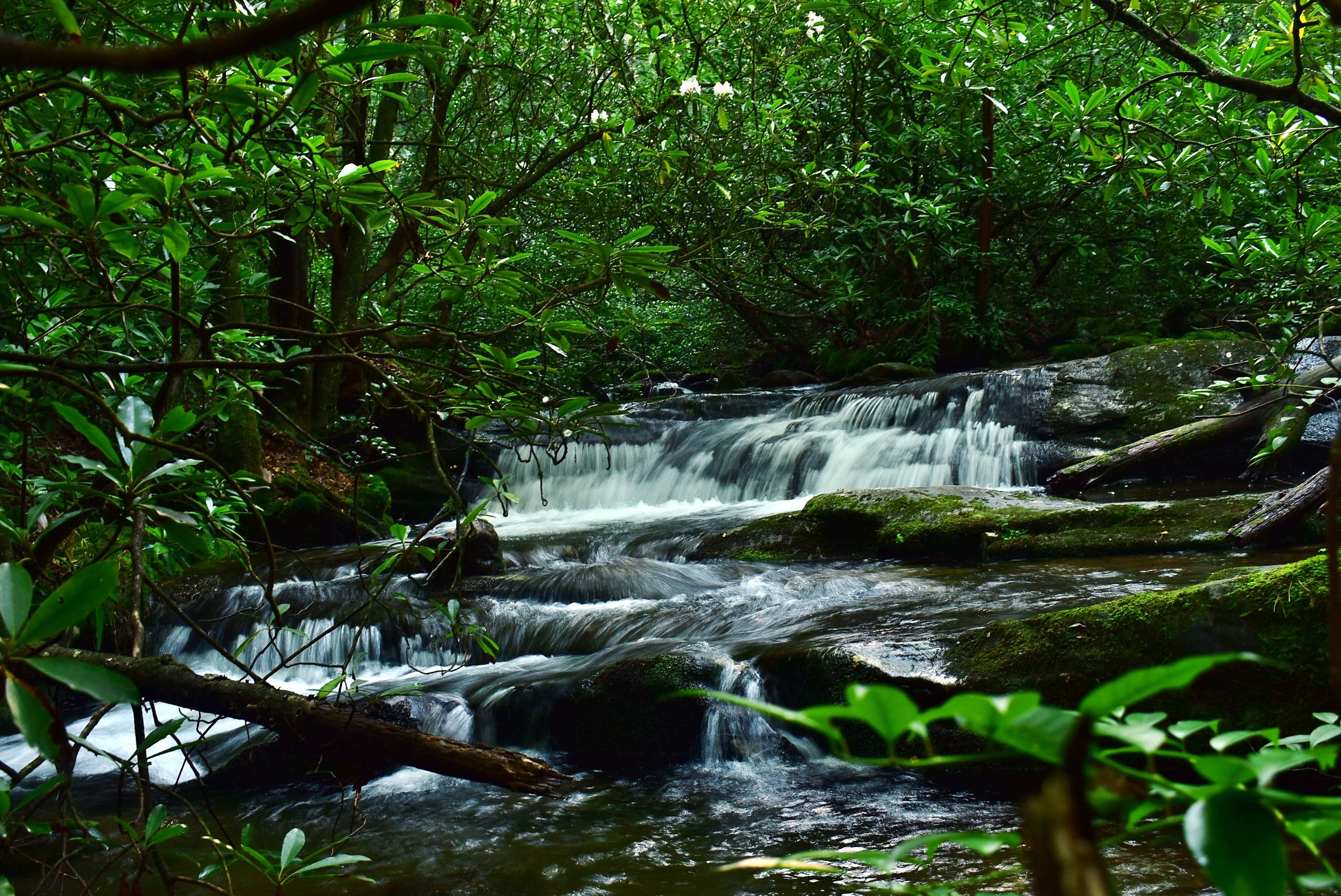 Camper submitted image from Courthouse 1 -- Pisgah National Forest - 2