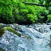 Review photo of Courthouse 1 -- Pisgah National Forest by Myron C., August 1, 2021