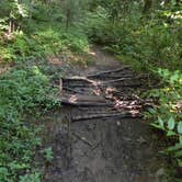 Review photo of Courthouse 1 -- Pisgah National Forest by Myron C., August 1, 2021