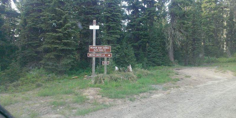 Camper submitted image from Rocky Ridge