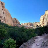 Review photo of Calf Creek Campground by Danielle , August 1, 2021