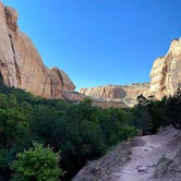 Review photo of Calf Creek Campground by Danielle , August 1, 2021