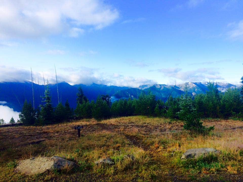 Deer Park Campground — Olympic National Park photo 5