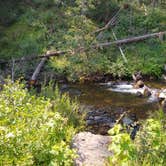 Review photo of Little Blackfoot River Dispersed Campsite #3 by Dexter I., August 1, 2021