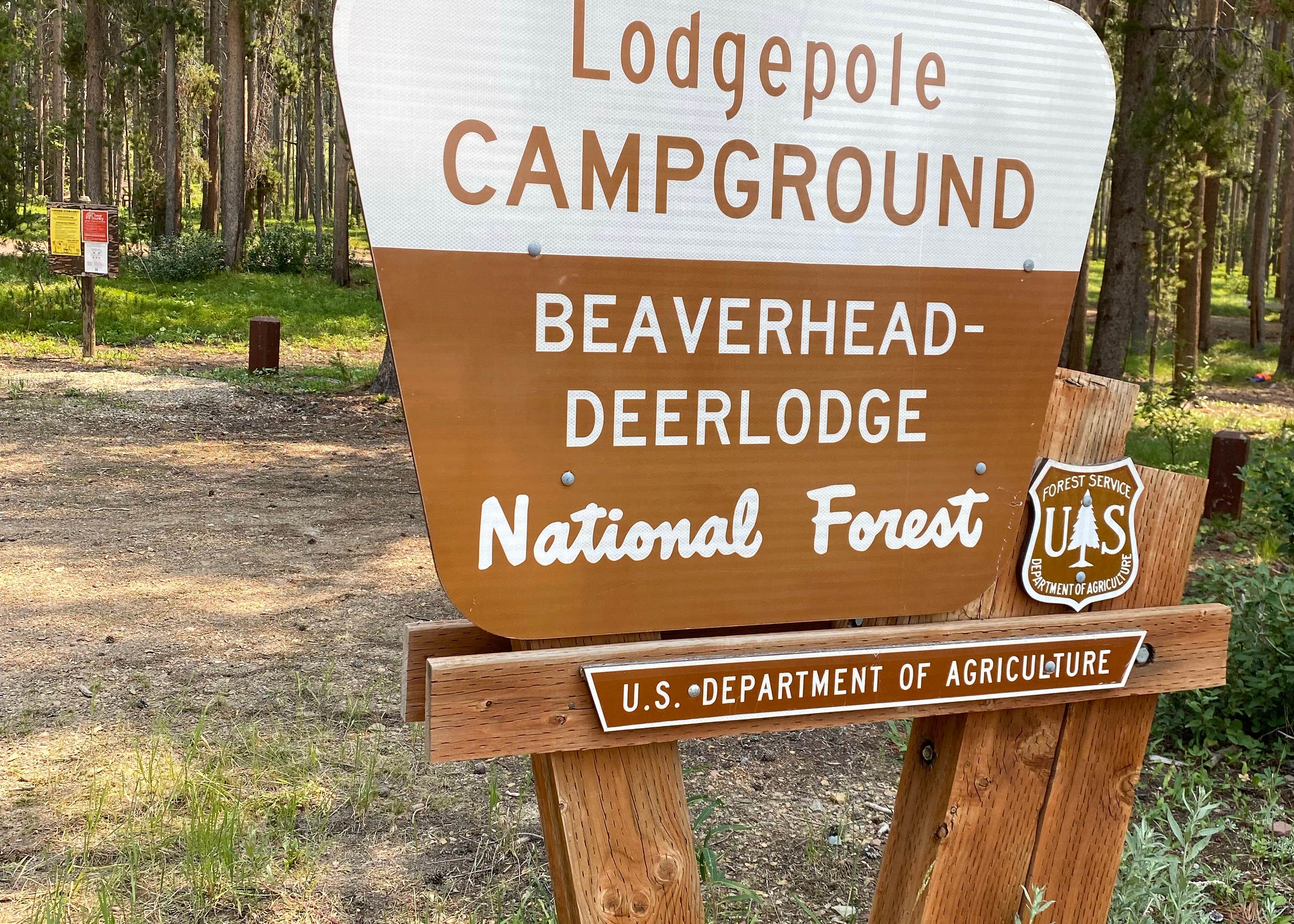 Lodgepole Campground Camping The Dyrt